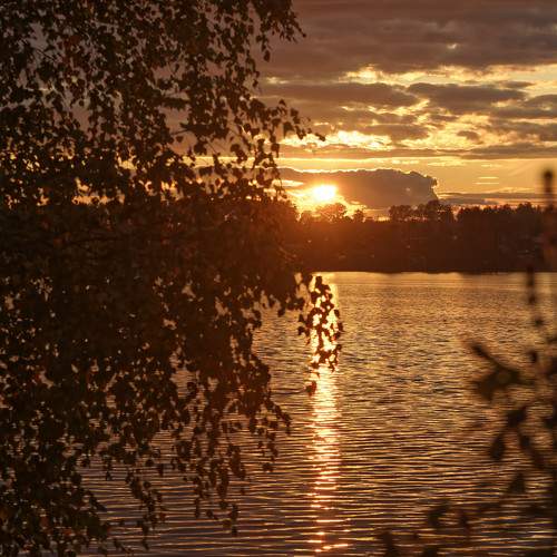 Photo #9019382