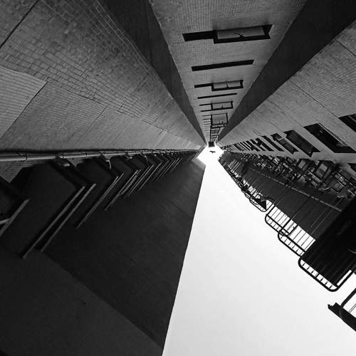 Photo #9020095