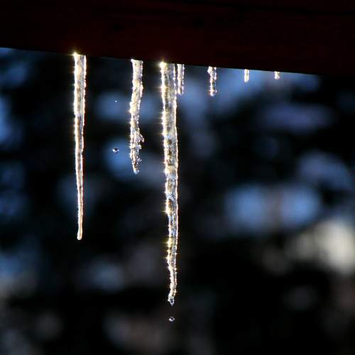 Photo #9020111