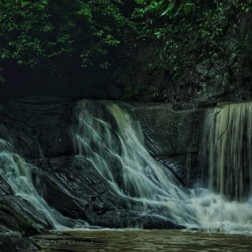 Photo #9020867
