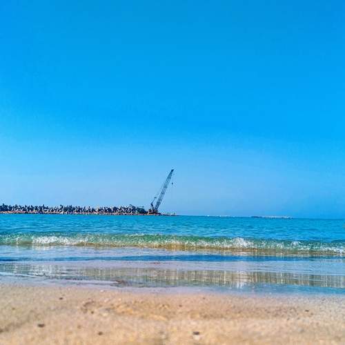 Photo #9020927
