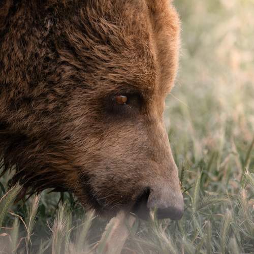 Photo #9021146