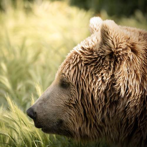 Photo #9021147