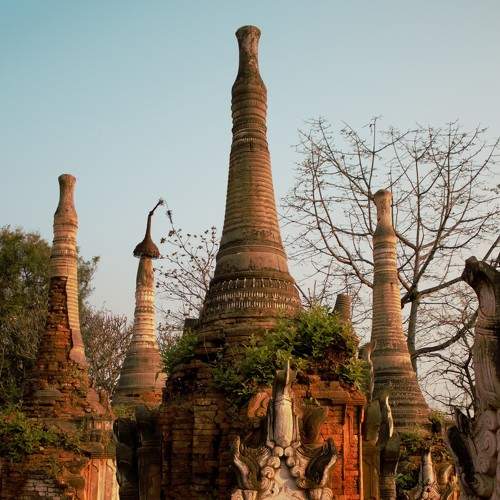 Photo #9021573