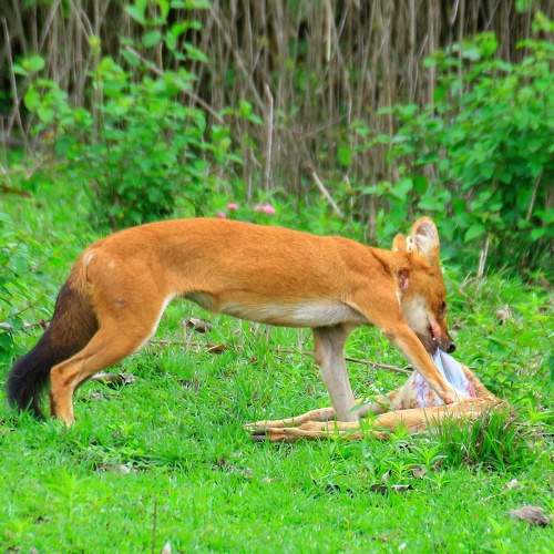 Photo #9021693