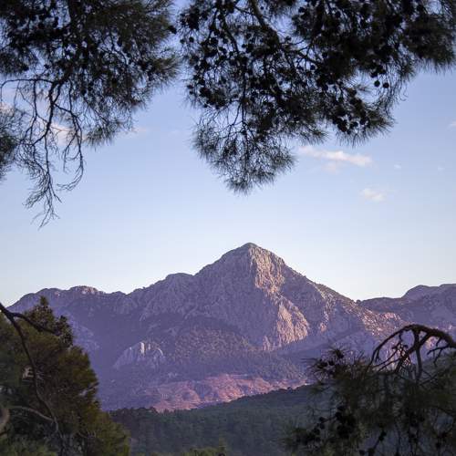 Photo #9022158