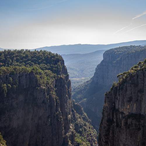 Photo #9022159