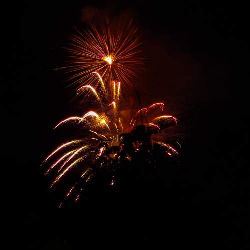 Photo #9023139
