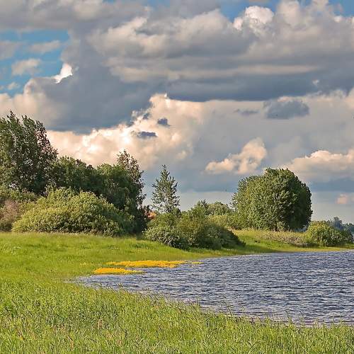 Photo #9023349
