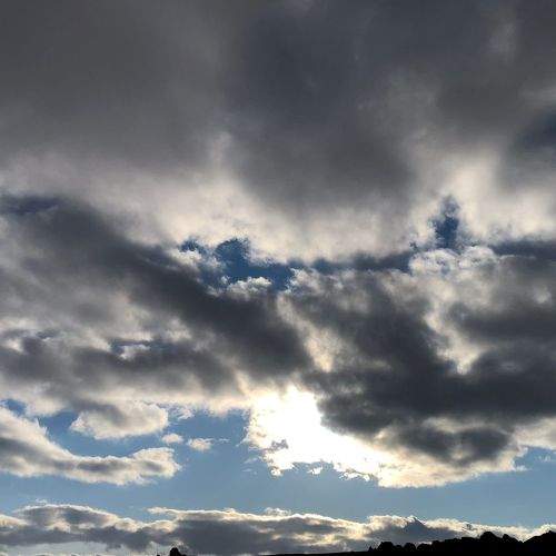 Photo #9023920