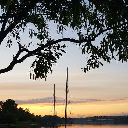 Photo #9023989