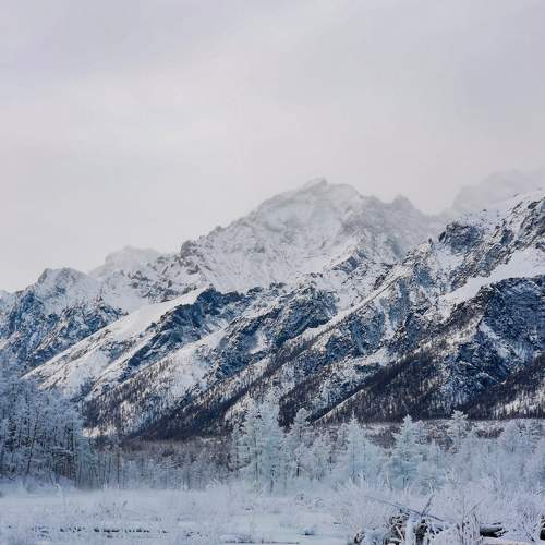 Photo #9024260