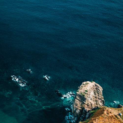 Photo #9024809