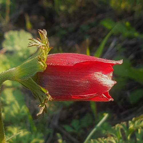 Photo #9024839