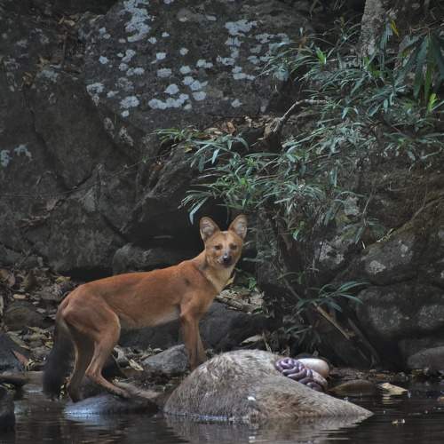 Photo #9025105
