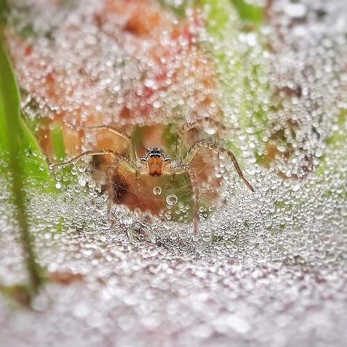 Photo #9025177
