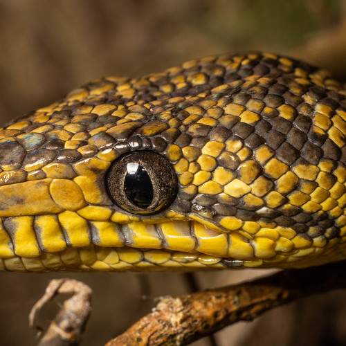 Photo #9025971