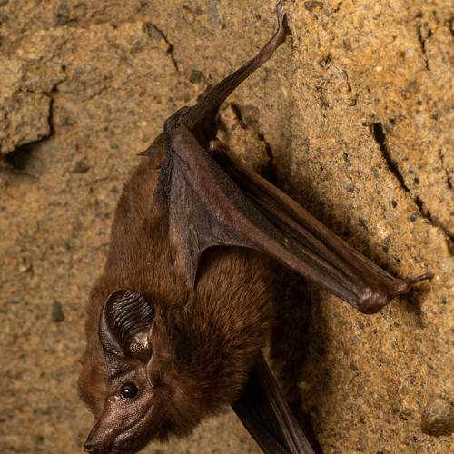Photo #9025972