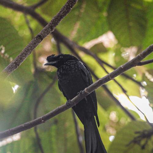 Photo #9026011