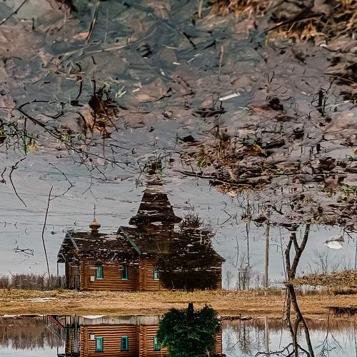 Photo #9026512