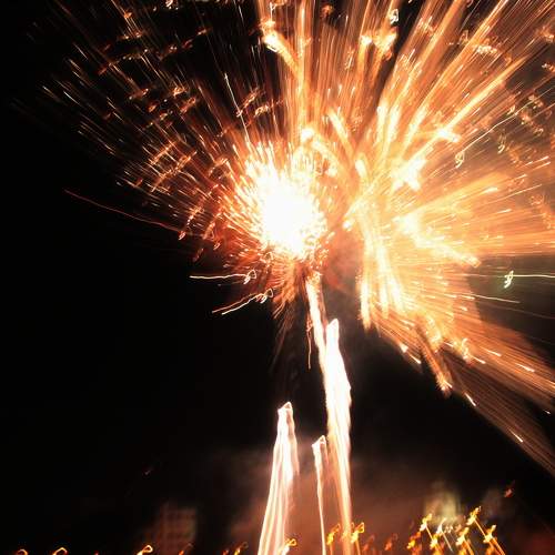 Photo #9026526