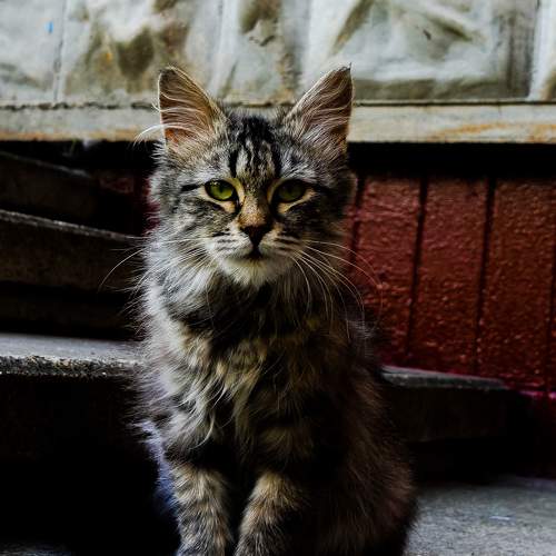 Photo #9026803