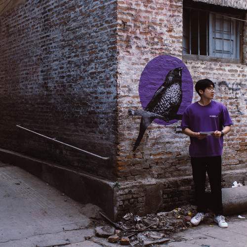 Photo #9026972