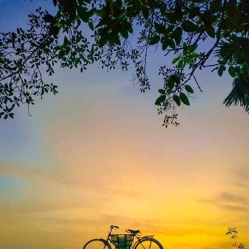 Photo #9027472