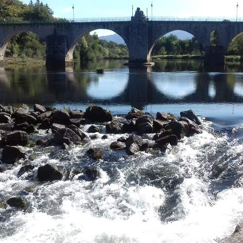 Photo #9027557
