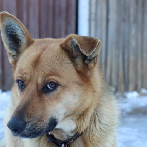 Photo #9028102