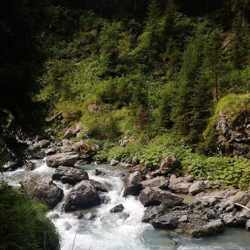 Photo #9028523