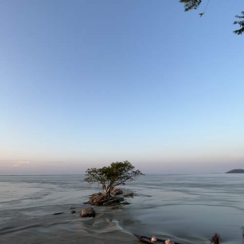 Photo #9028856