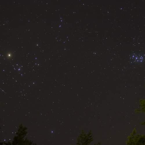 Photo #9029471