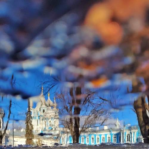 Photo #9030032
