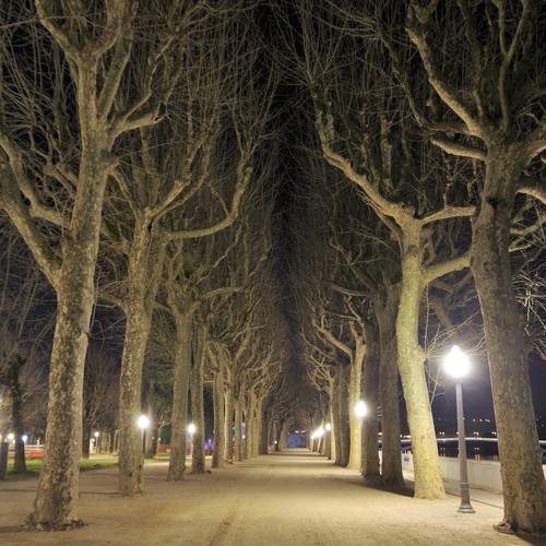Photo #9030233
