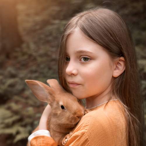 Photo #9030236