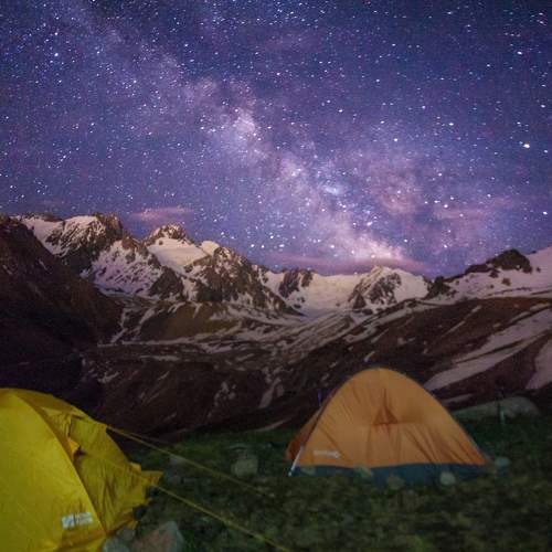 Photo #9030865