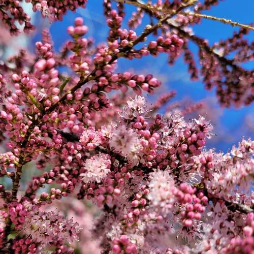 Photo #9030887