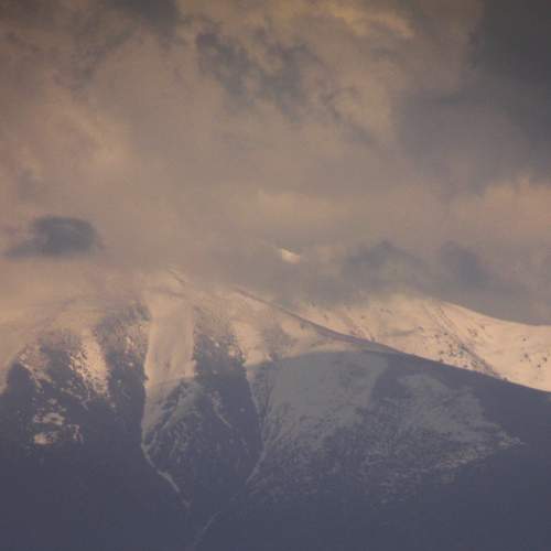 Photo #9030942