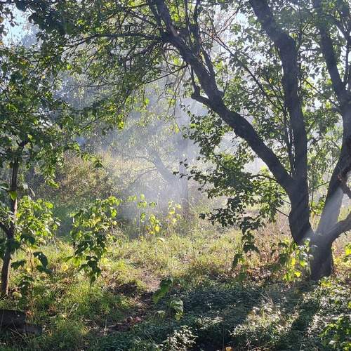 Photo #9031294