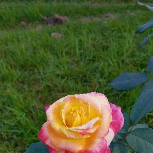 Photo #9031330