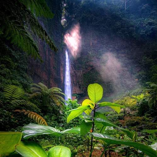 Photo #9032083