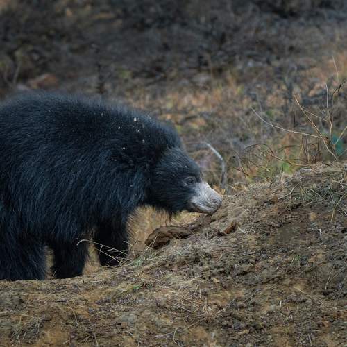 Photo #9032118
