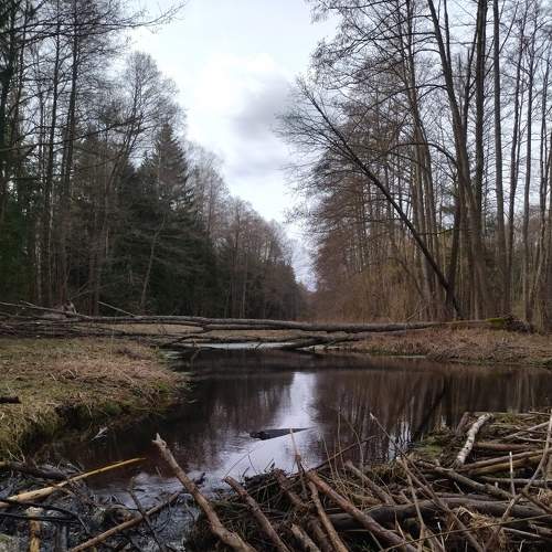 Photo #9032127