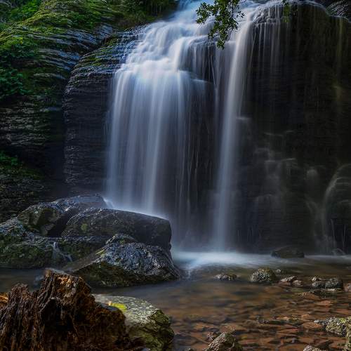 Photo #9032153