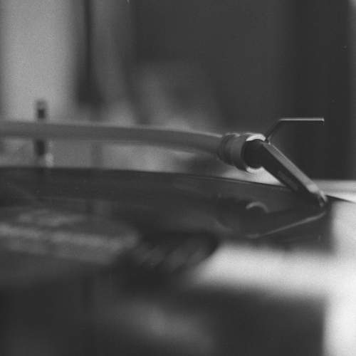 Photo #9032655