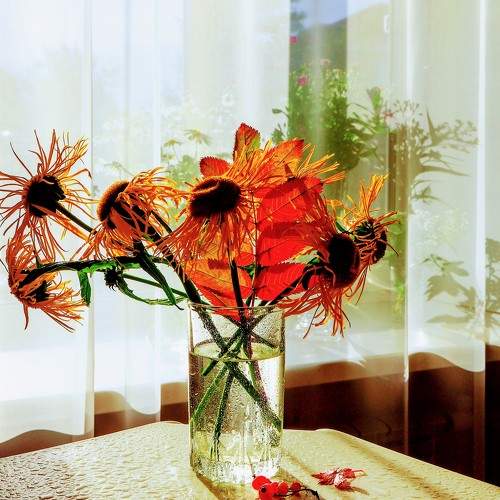 Photo #9032880