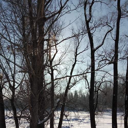 Photo #9032952