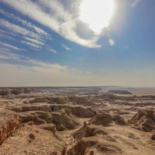 Photo #9033084