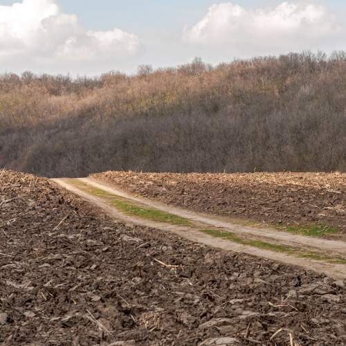 Photo #9033301